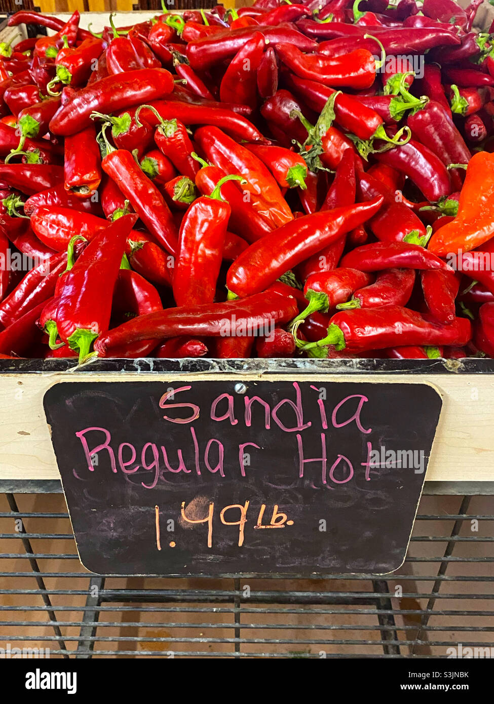 Rote Chilischoten Stockfoto
