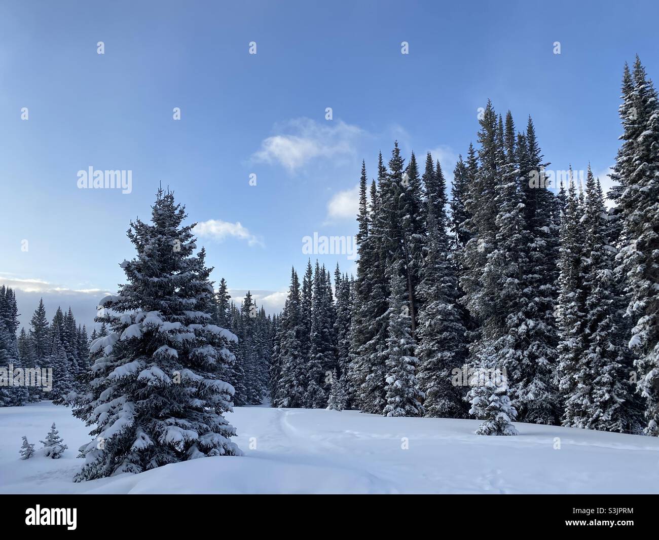 Wintermorgen Schneeschuhwanderweg Abenteuer auf Shrine Mountain, Vail, Colorado, USA Stockfoto
