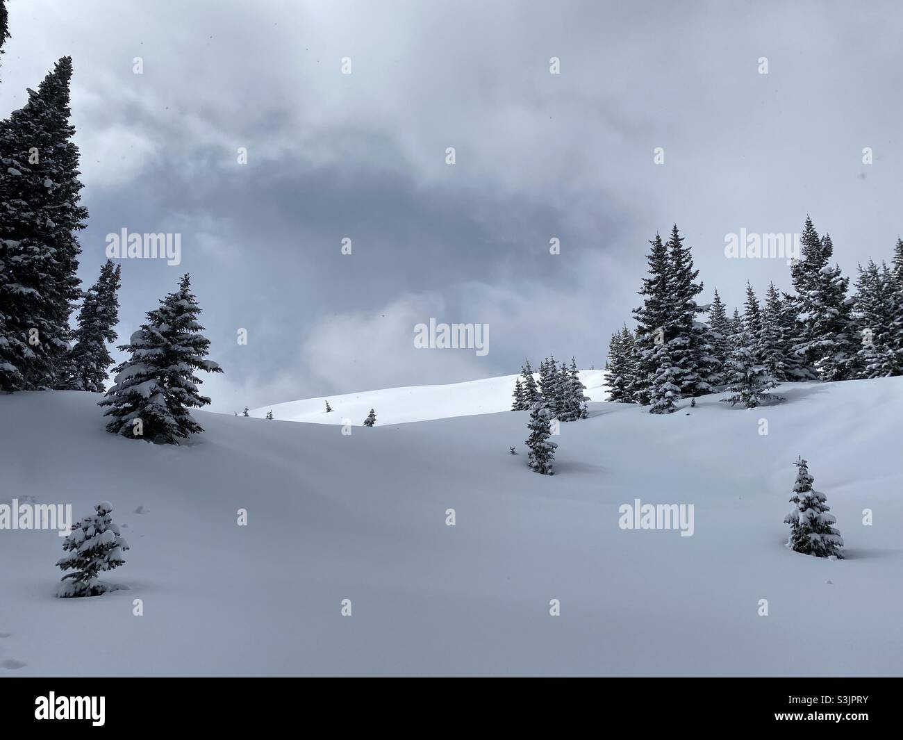 Friedliche, winterliche Hügellandschaft mit frischem Schnee von einem Frühlingssturm in den Rocky Mountains, Vail, Colorado, USA - Smartphone-aufgenommenes Stockfoto
