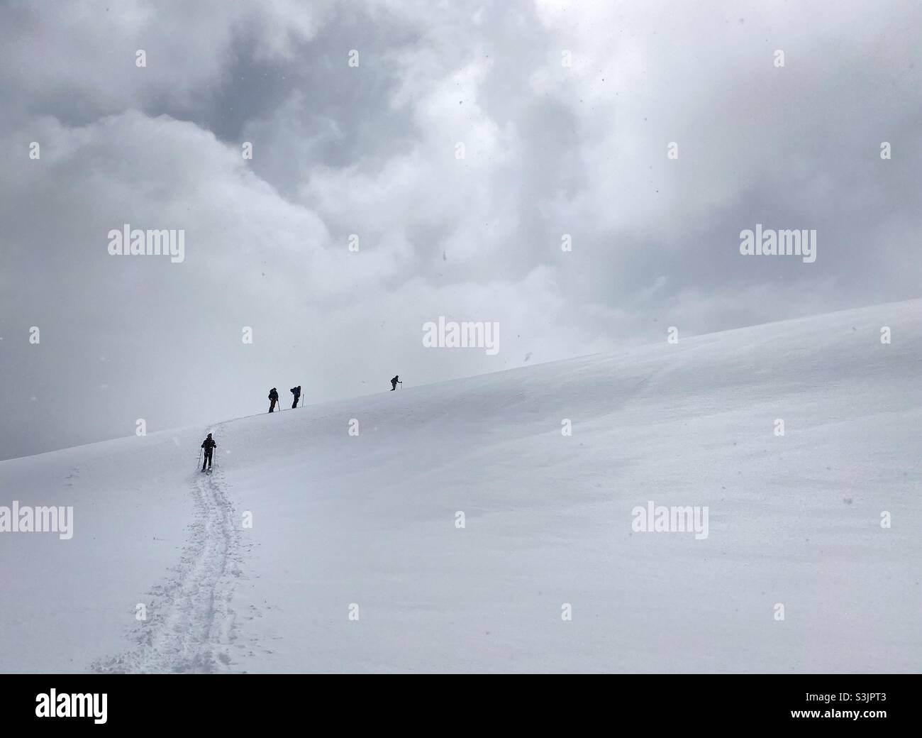 Eine Gruppe von abenteuerlustigen Menschen Schneeschuhwandern auf einem Berg mit frischem Frühlingsschnee in den Rocky Mountains, Vail, Colorado, USA - Smartphone-aufgenommenes Stockfoto