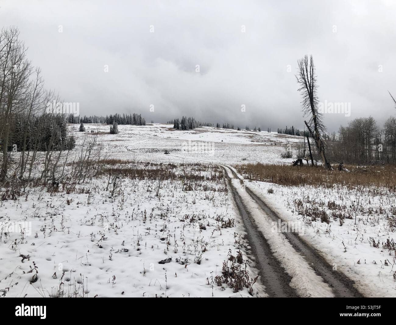 Blick auf einen Hügel mit einem Schmutz zweispurigen, frühen Saison Schnee, fallen in den Tetons Stockfoto