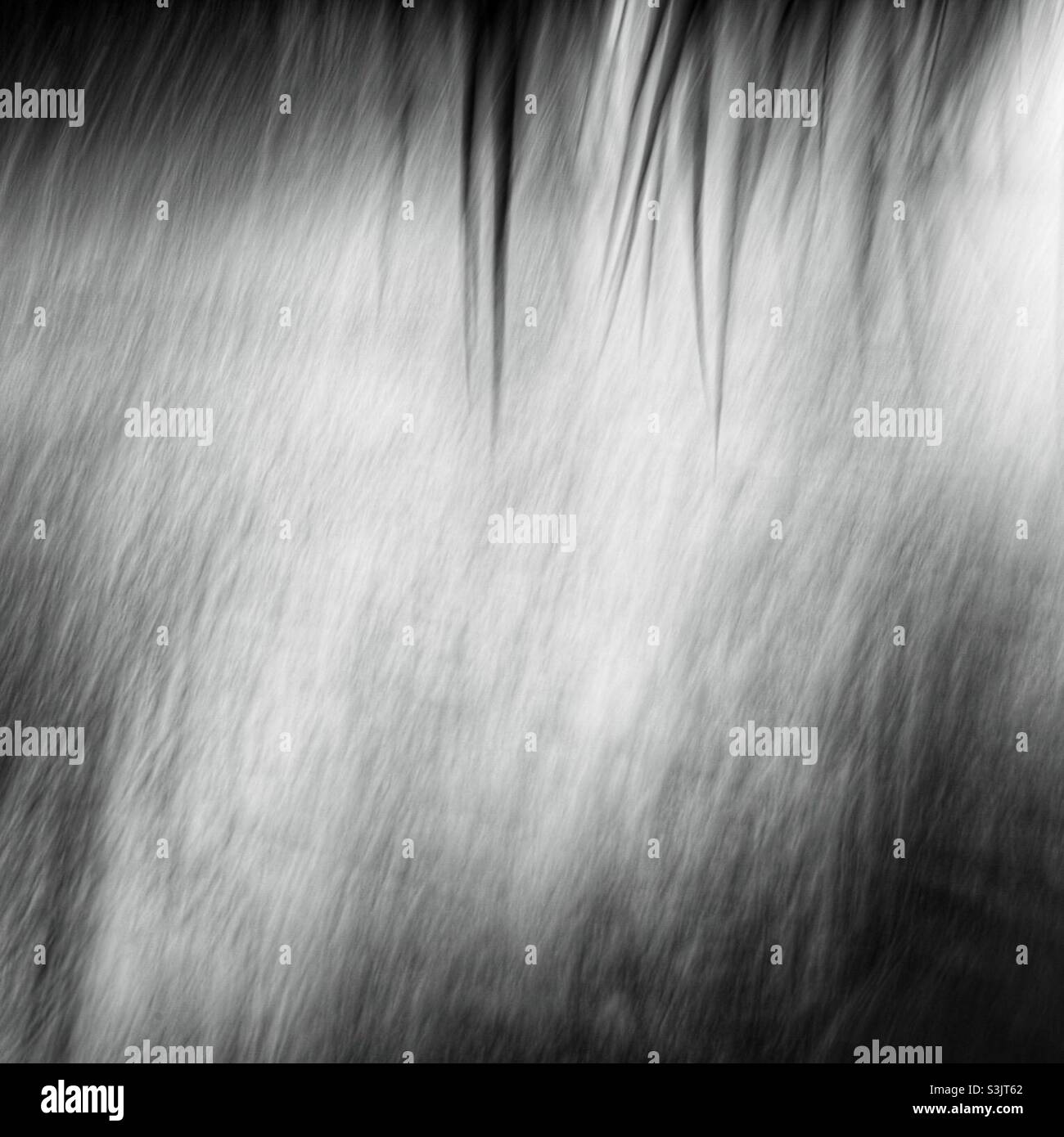 Starker Regen: Verwendung der ICM-Technik (absichtliche Kamerabewegung Stockfoto
