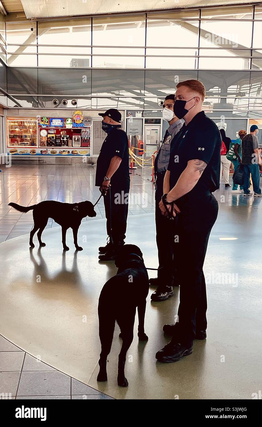 Polizeieinheit K-9 am Staten Island Ferry Terminal, NYC, USA - Smartphone-aufgenommenes Stockfoto