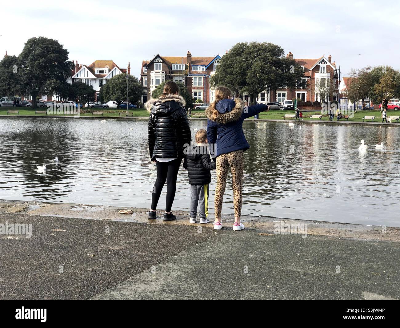 Kinder beobachten die Schwäne am Canoe Lake in Southsea, England. Stockfoto