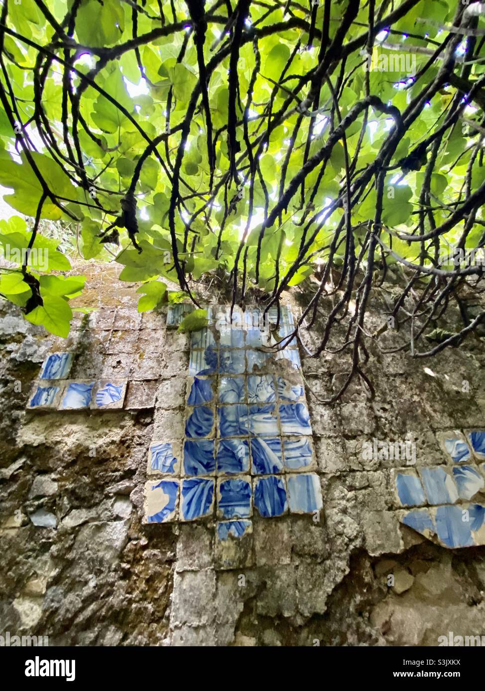 Verlorene Orte … Ruine eines Klosters in Monchique an der Algarve/Portugal Stockfoto