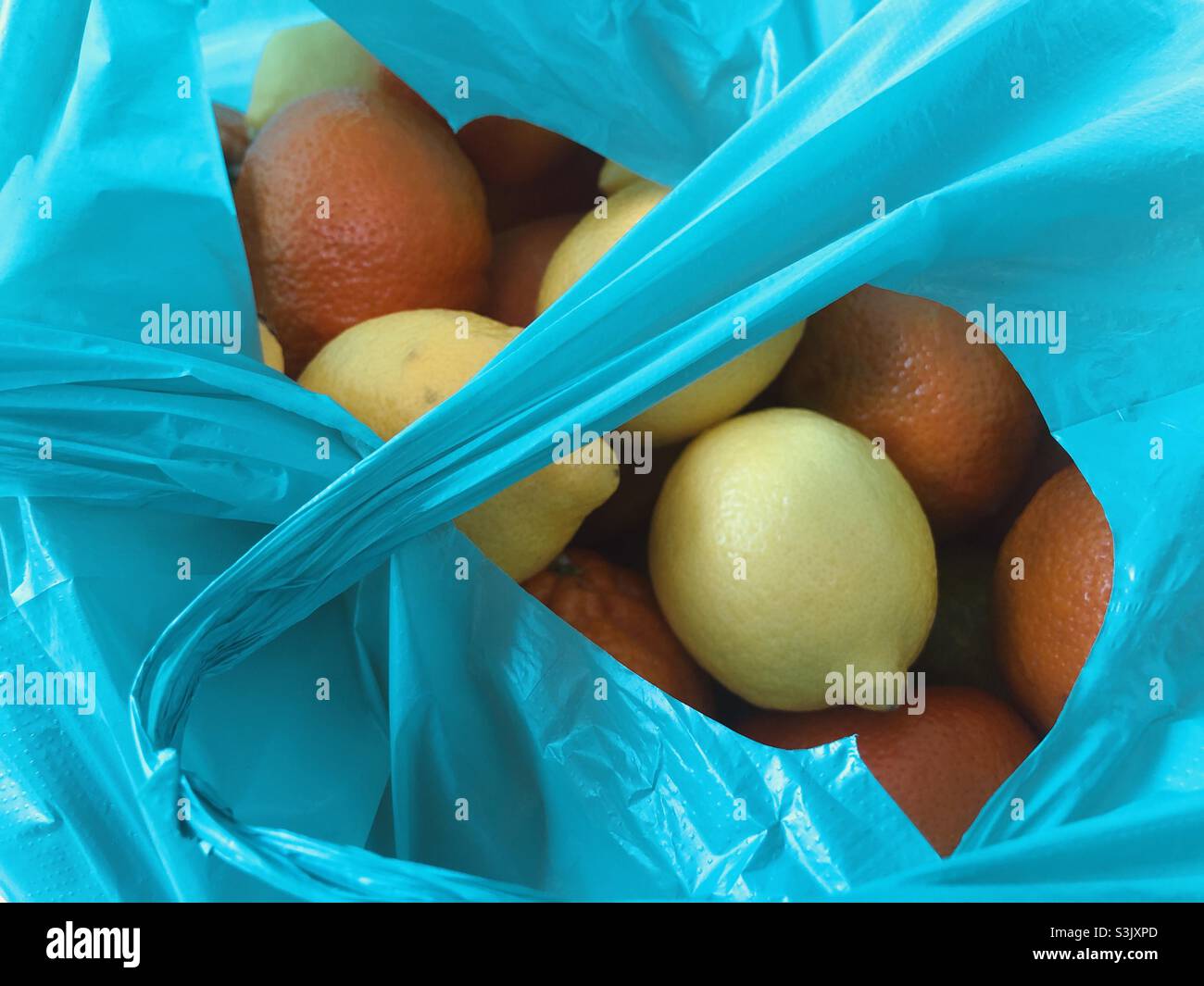 Zitrone und Orangen auf einer grünen Tragetasche Stockfoto