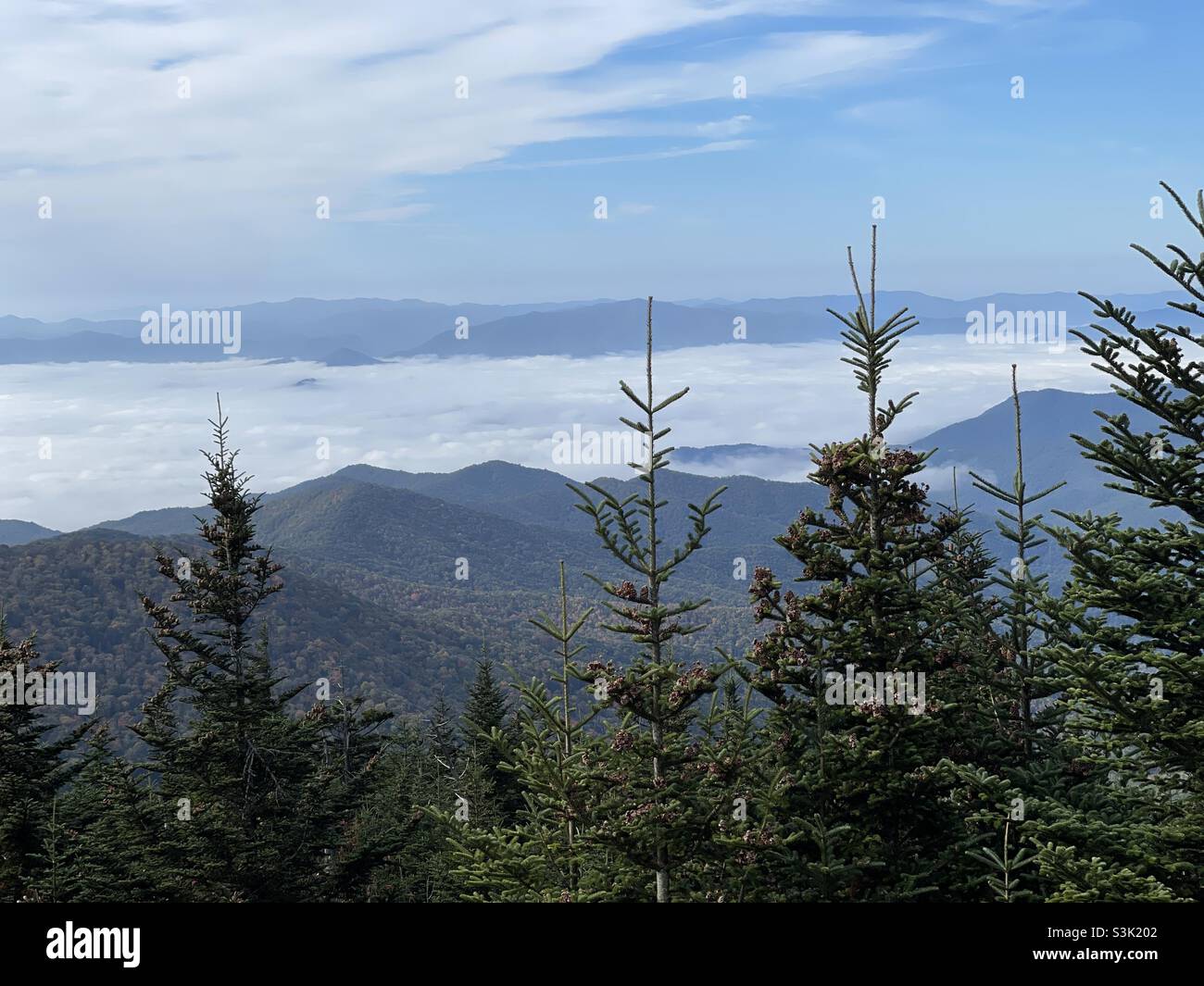 Oben auf dem Berggipfel am Clingmans Dome in den Smokey Mountains Stockfoto