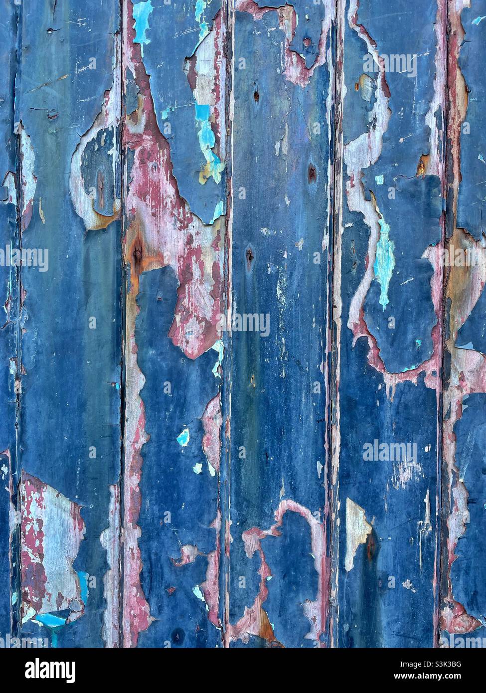 Die abblätternde blaue Farbe an einer alten Holztür zeigt ältere Farbschichten darunter. Stockfoto