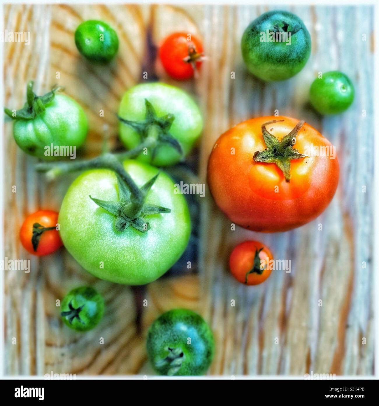 Tomaten auf einem Küchentisch. - Smartphone-aufgenommenes Stockfoto