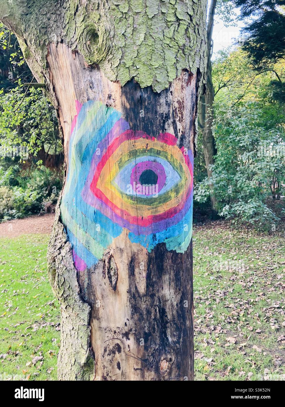 Magisches Auge auf Baum im Park Stockfoto