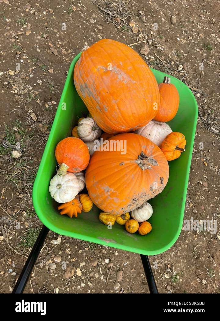 Halloween - Smartphone-aufgenommenes Stockfoto