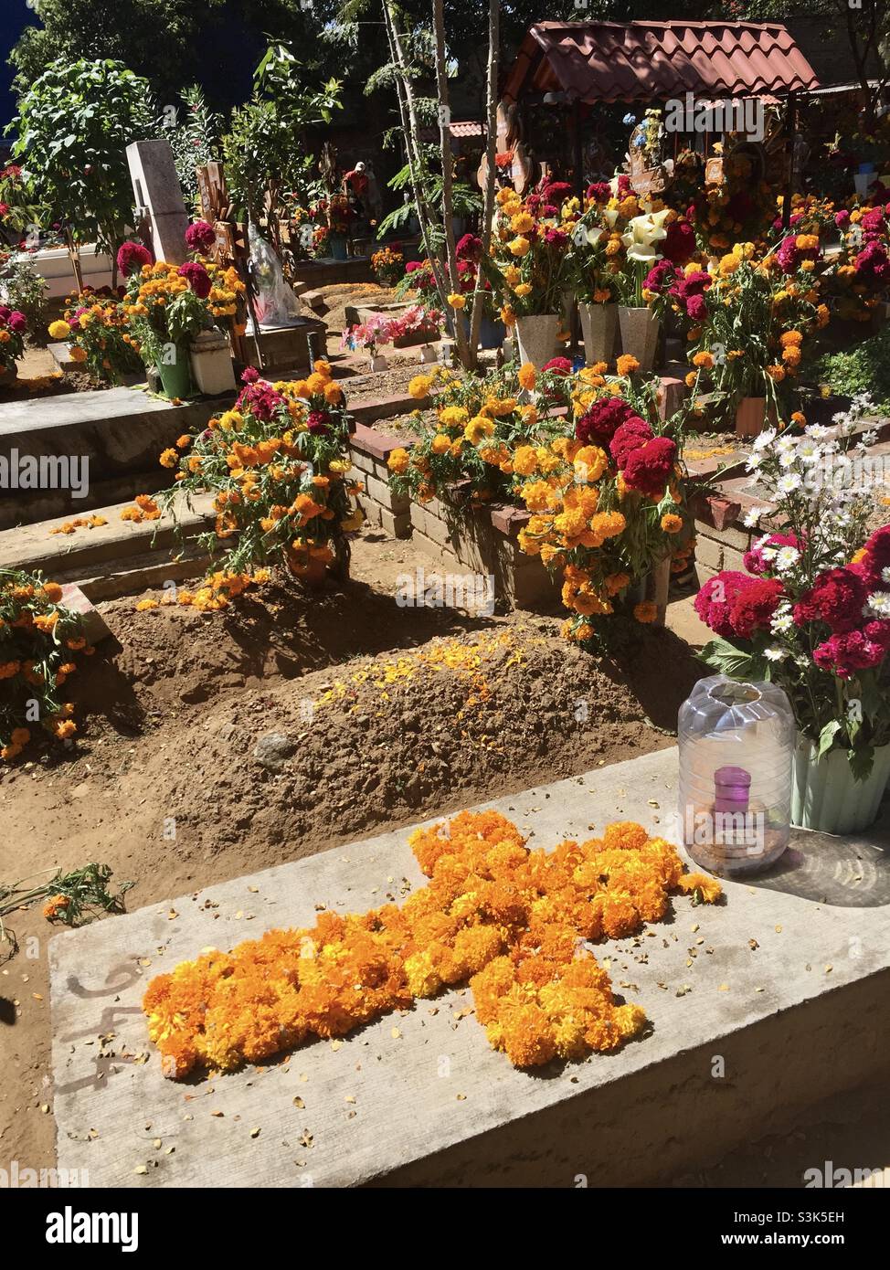 Friedhof, Dia de los Muertos (Tag der Toten), Oaxaca, Mexiko Stockfoto