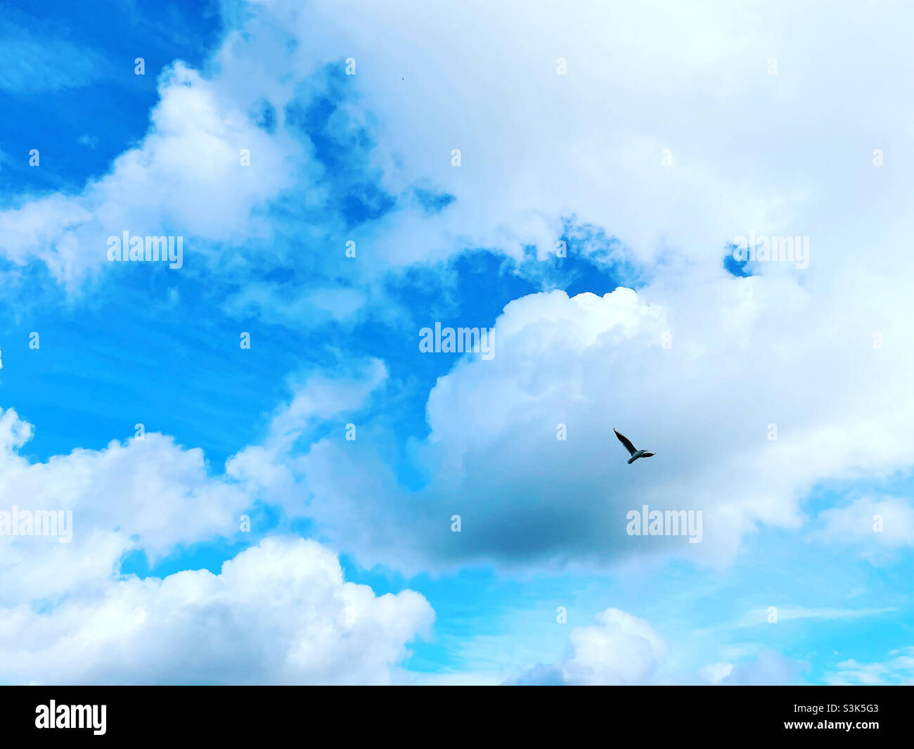 Wolken am blauen Himmel und Vögel fliegen Stockfoto