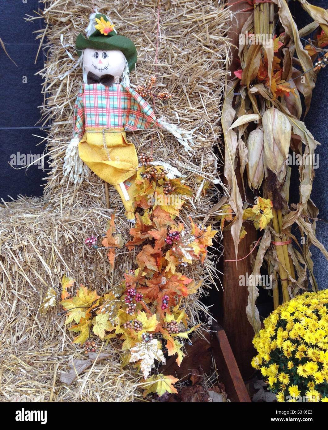 Hallowe'en-Dekorationen mit Heuballen, einer Art Vogelscheuche-Figur, einigen Herbstblättern, die ein Erntethema geben, und einem Topf mit gelben Blüten Stockfoto