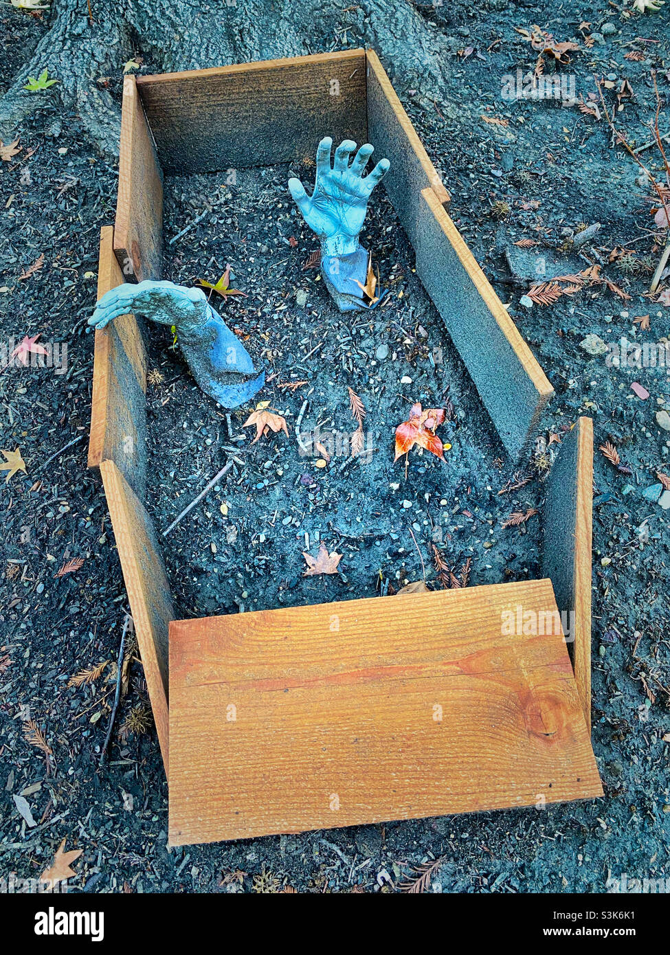 Halloween-Display - Hände aus Holzschatulle - Smartphone-aufgenommenes Stockfoto