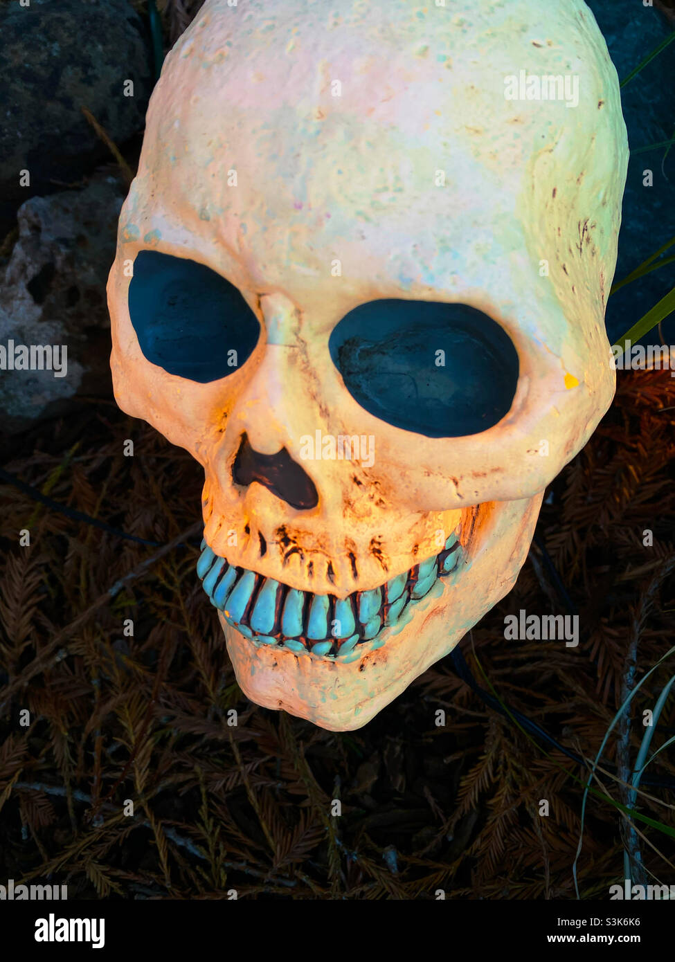 Halloween Totenkopf mit grünen Zähnen - Smartphone-aufgenommenes Stockfoto