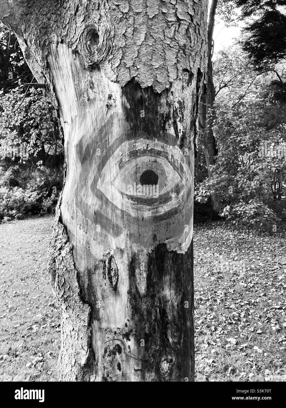 Baumkunst in einem Park - Smartphone-aufgenommenes Stockfoto