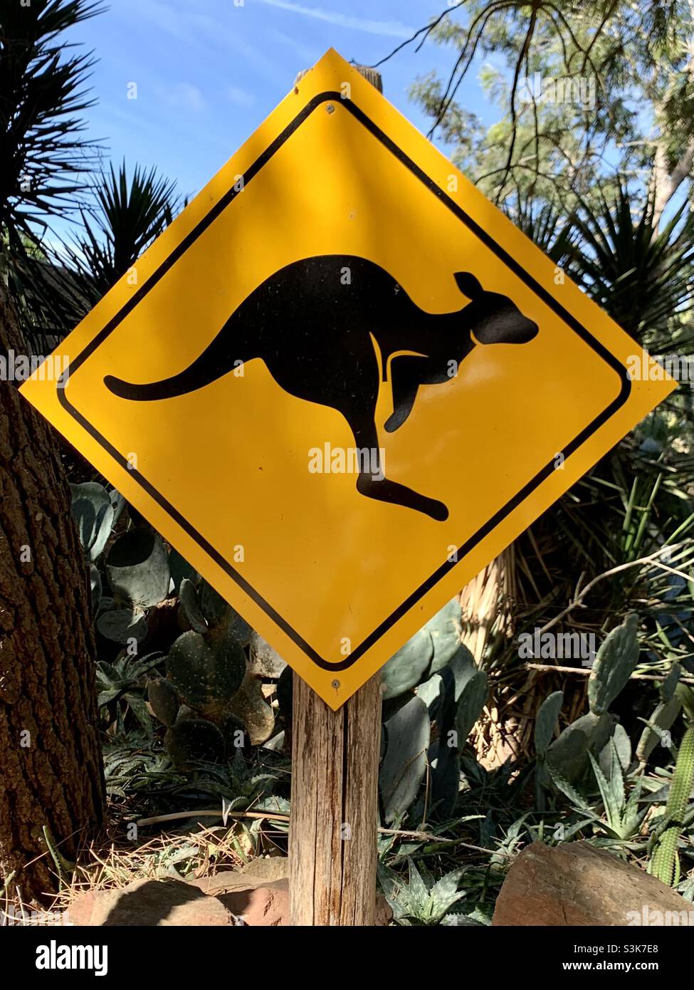 Känguru-Schild. Warnung Känguru in der Nähe oder beim Überqueren. Australische Tierwelt. Wilde Tiere. Draußen im Busch Stockfoto