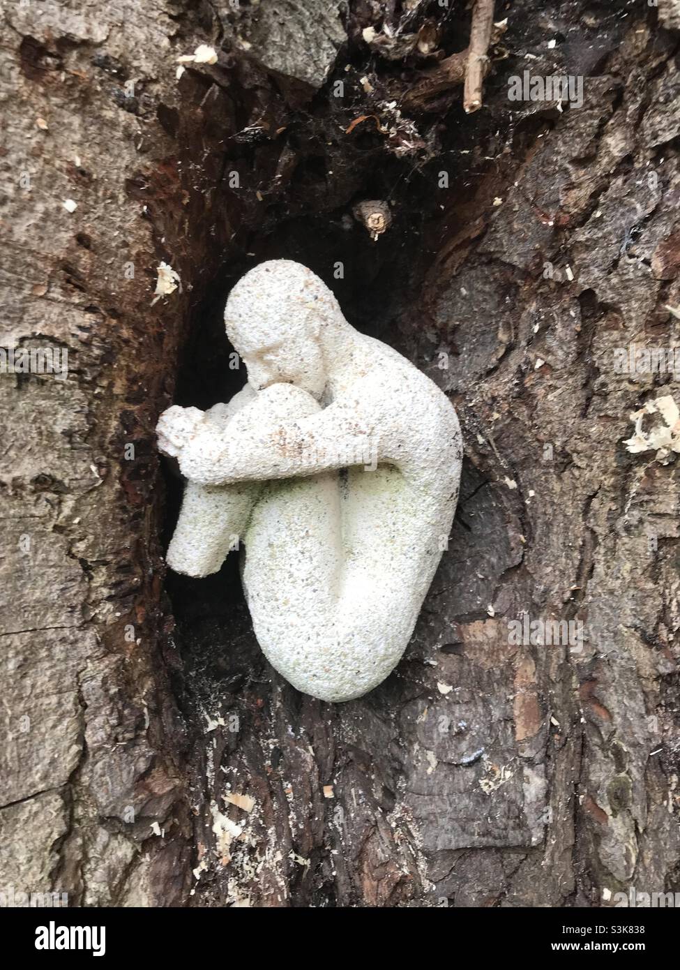 Gekräuselte Figur im Baum - Smartphone-aufgenommenes Stockfoto