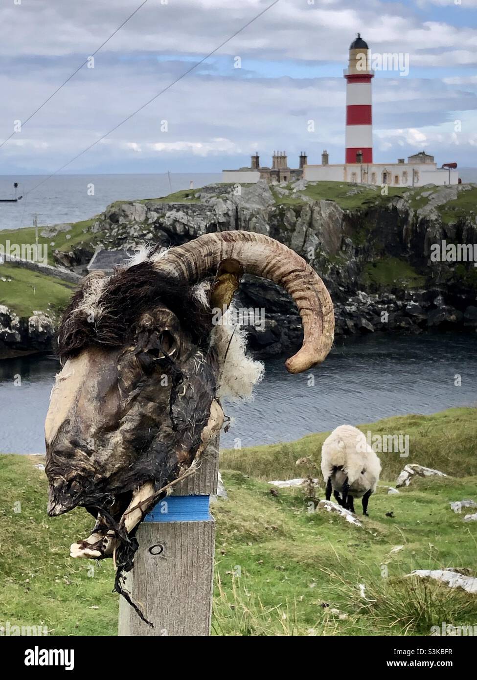 Ein Schafskopf befindet sich auf einem Pfahl vor einem rot-weißen Leuchtturm im Osten der Insel Lewis in den Hebriden in Schottland - Smartphone-aufgenommenes Stockfoto
