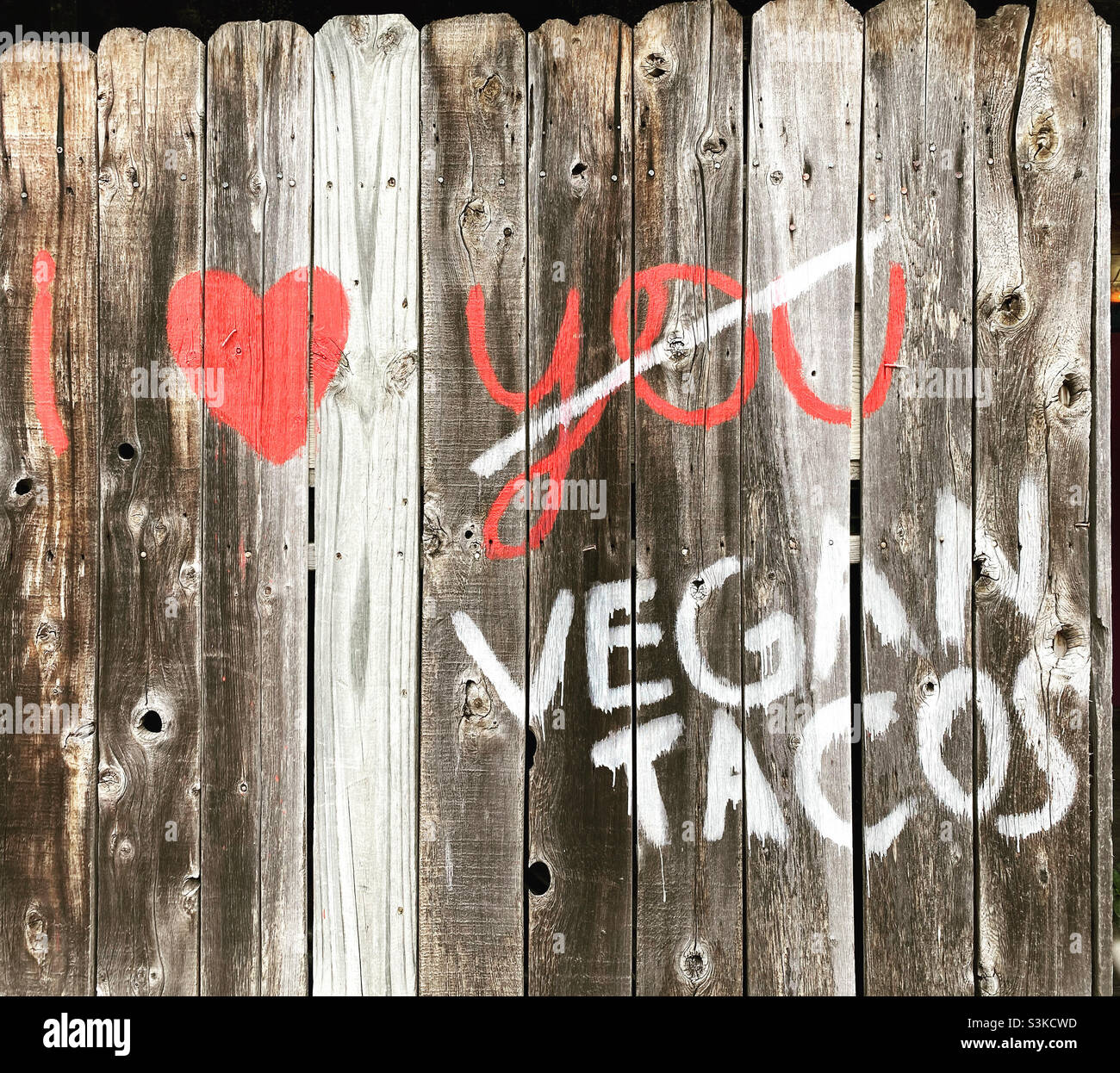Graffiti auf einem Zaun mit der Aufschrift „Ich liebe vegane Tacos“. Stockfoto