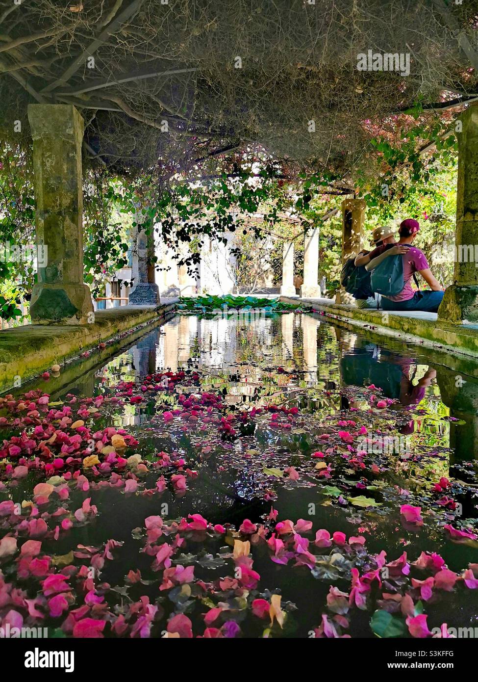 Teichgrube mit Blütenblättern und Blumen bedeckt Stockfoto