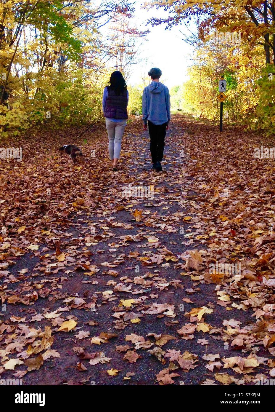 Eine Mutter und ein Sohn, die an einem Herbstnachmittag, Ostküste, Kanada, mit dem Welpen auf einem Wanderweg spazieren gehen Stockfoto