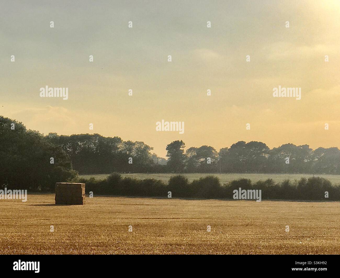 Sonnenuntergang über frisch gemähtem Heu in der Nähe von Popley Wood in Hampshire Stockfoto