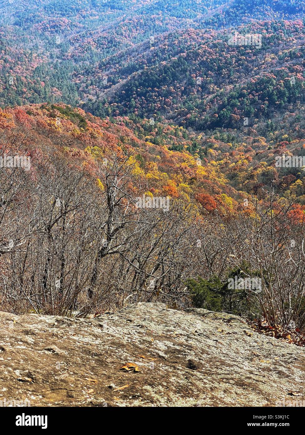 Appalachian Mountain Range vom Preachers Rock aus gesehen auf dem Appalachian Trail bei Woody Gap. Stockfoto