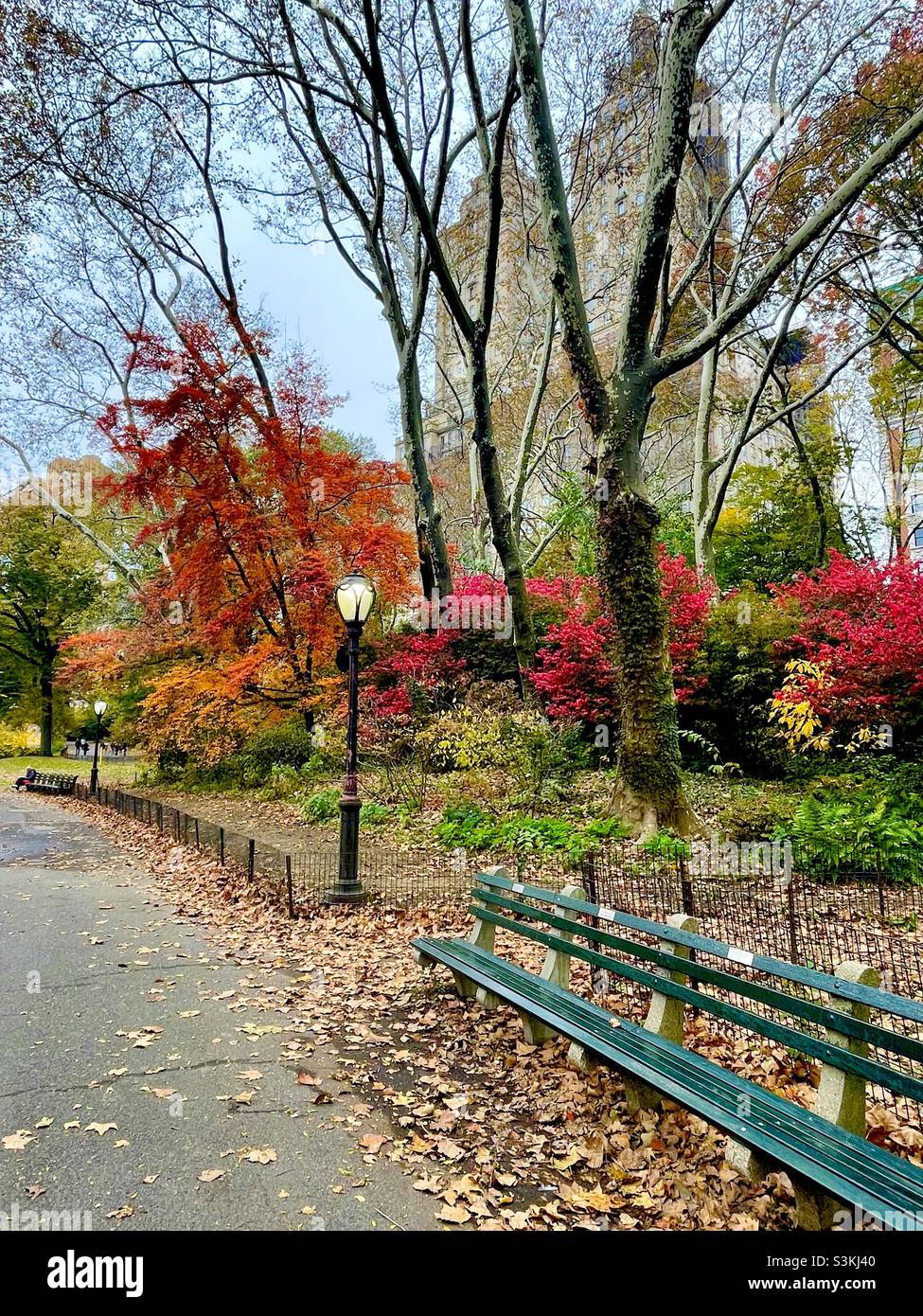 Farbenfrohe Herbstfärbung auf dem Bürgersteig des West Drive im Central Park NewYork mit Blick auf den historischen Central Park West - Smartphone-aufgenommenes Stockfoto