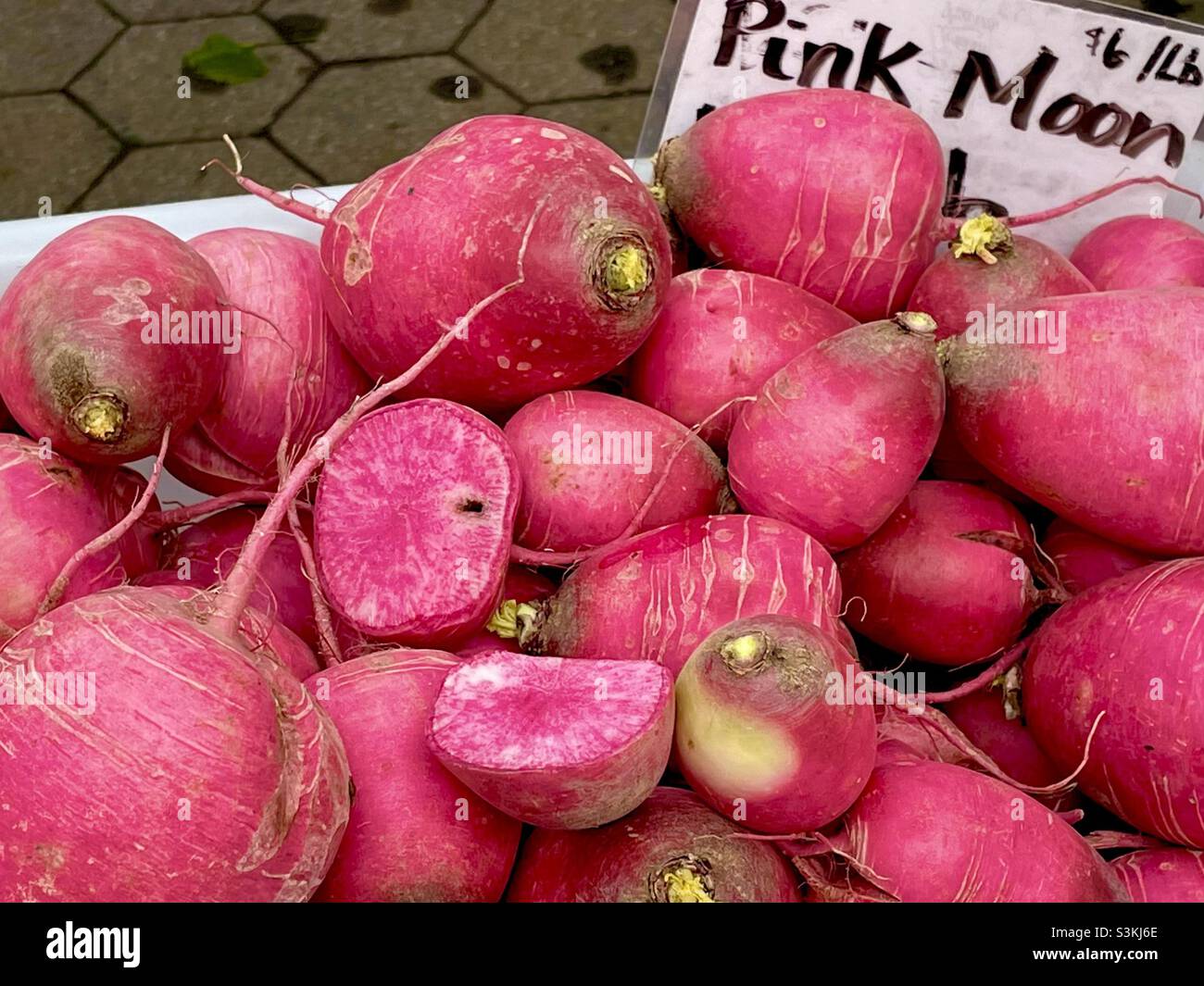 Leuchtend rosafarbene Mondradieschen auf einem Bauernmarkt in New York City Stockfoto