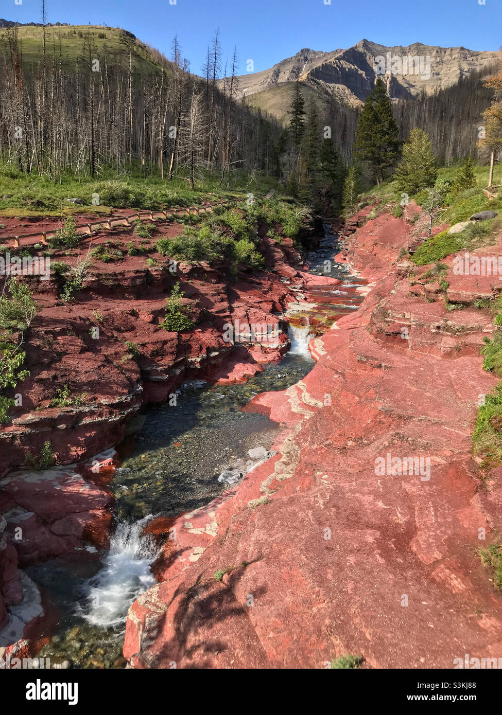 Red Rock Canyon mit feuerbeschädigten Bäumen und Bergen, an einem sonnigen Sommertag, im Waterton Lakes National Park, Alberta, Kanada. Stockfoto