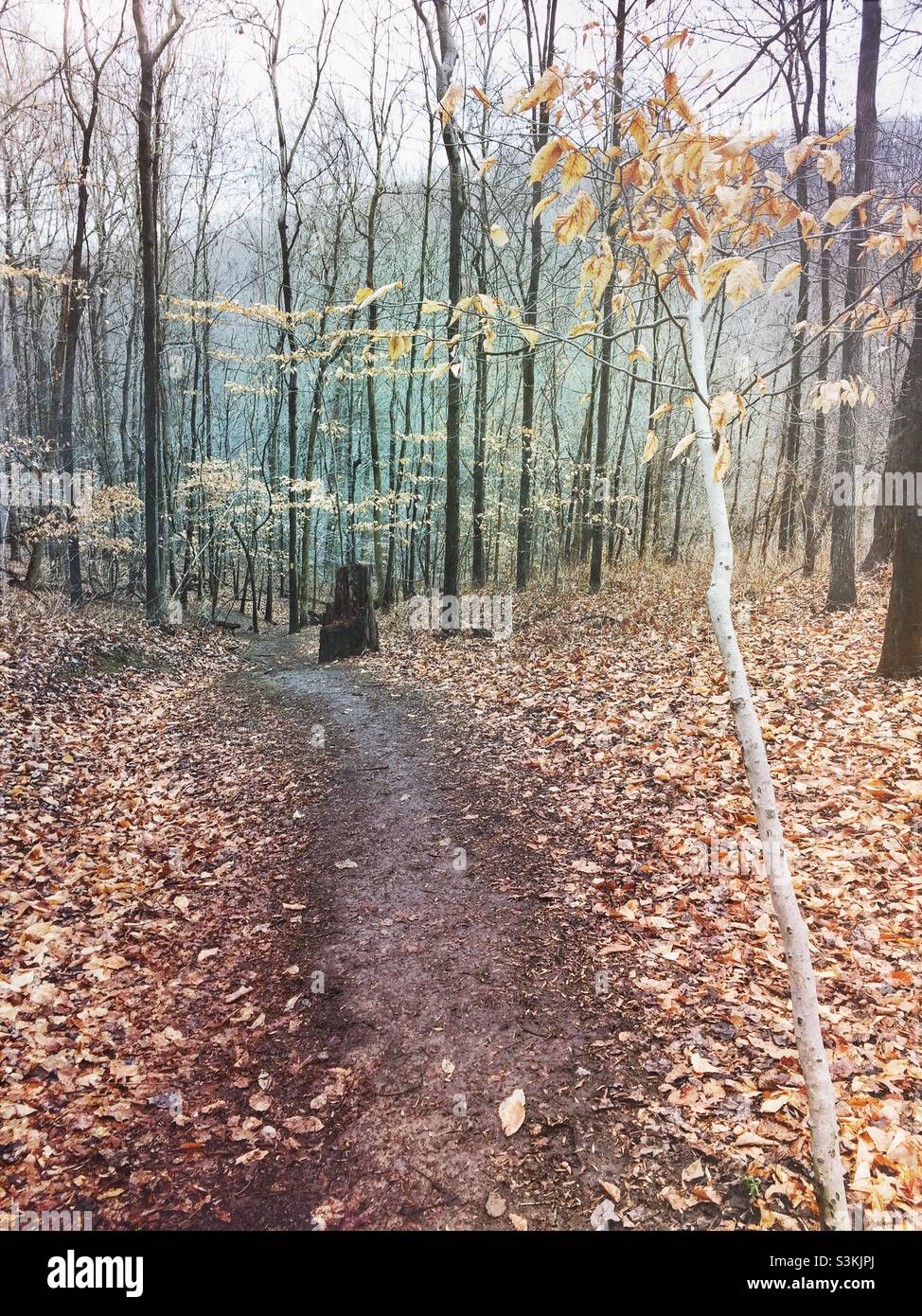 Grist Mill Trail im Patapsco Valley State Park in Maryland. Stockfoto