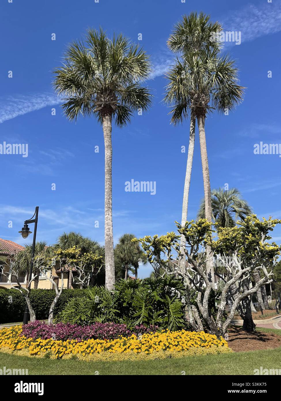 Palmen und farbenfroher Blumengarten Stockfoto