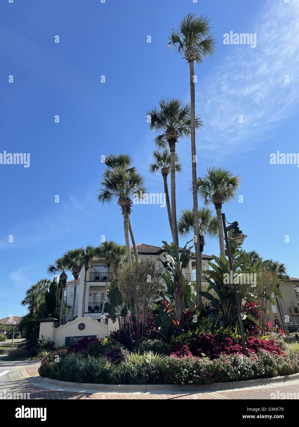 Palmen und Blumengarten Stockfoto