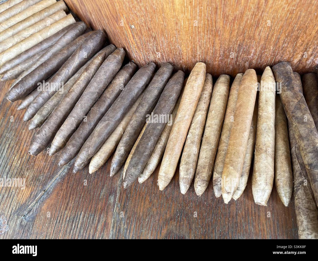 Handgerollte kubanische Zigarren - Smartphone-aufgenommenes Stockfoto