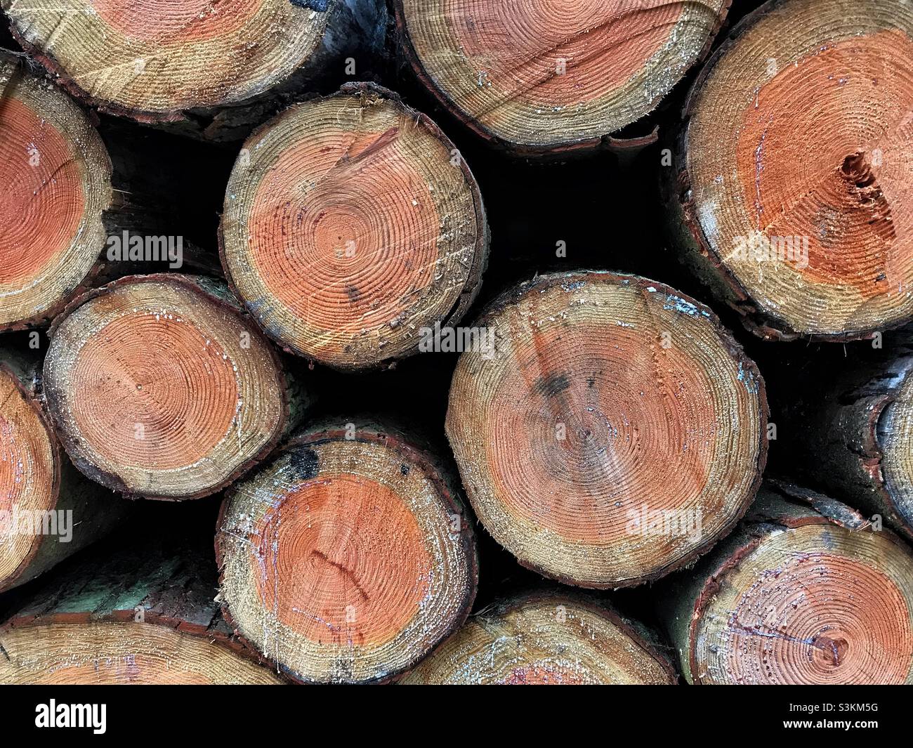 Polter - Smartphone-aufgenommenes Stockfoto