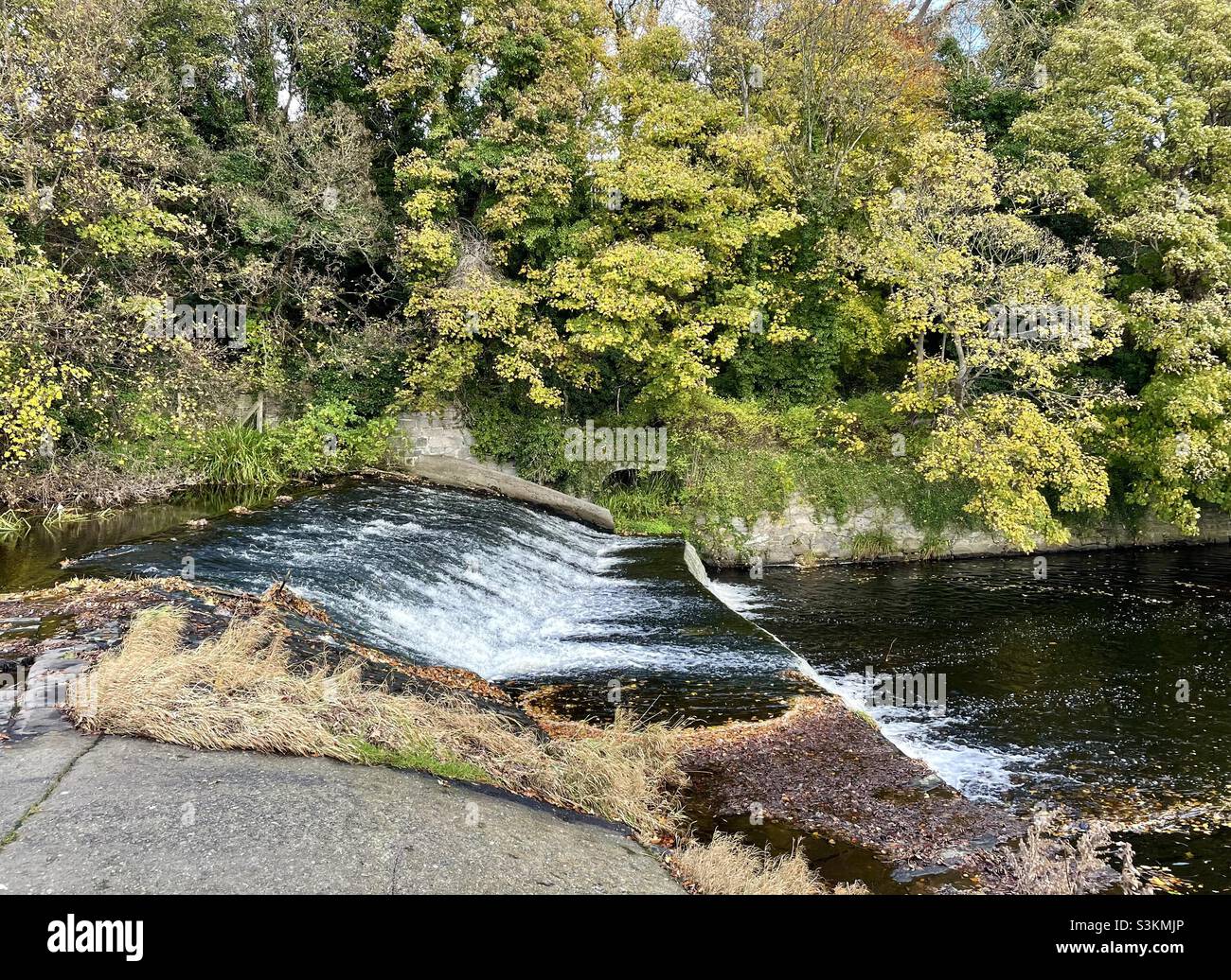 Wasserfall am Dodder River im Herbst, Dublin, Irland Stockfoto
