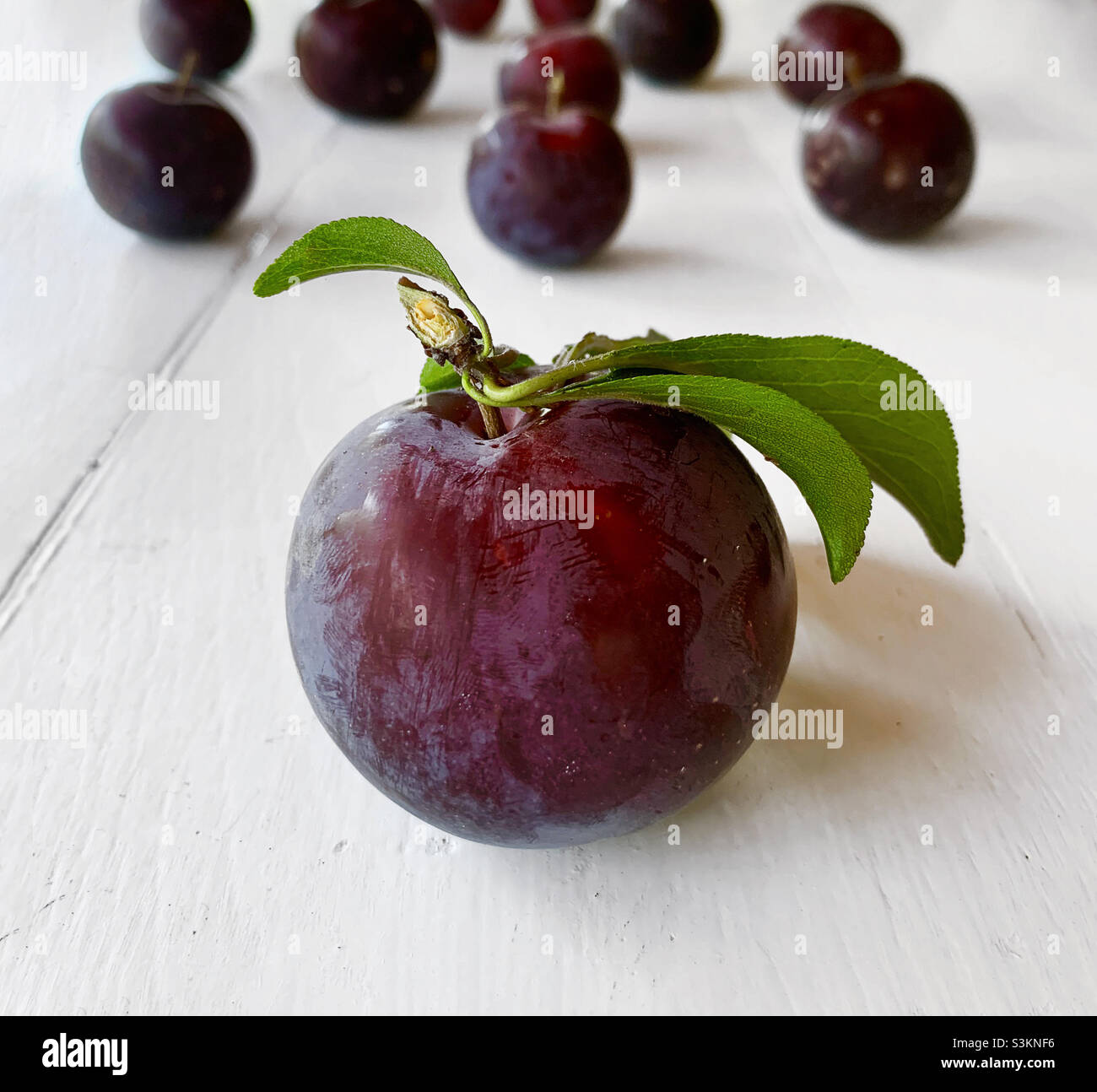 Rote pflaume Fotos und Bildmaterial in hoher Auflösung Alamy