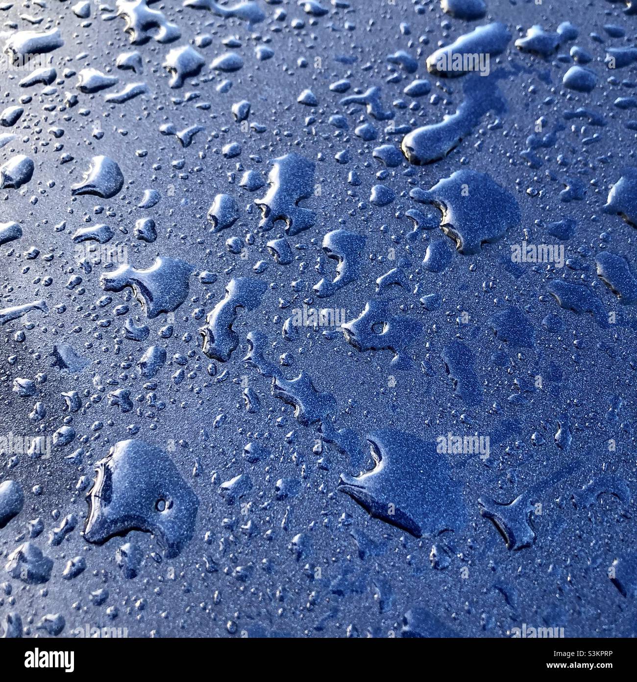 Wasser tropft auf eine Autohaube. Stockfoto