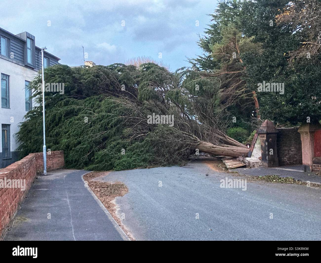 Ein gefallener Baum verpasst das Holiday Inn in Hoylake während des Sturms Arwen knapp. Die Böen erreichten in der Freitagabend bis zu 70mph. Stockfoto