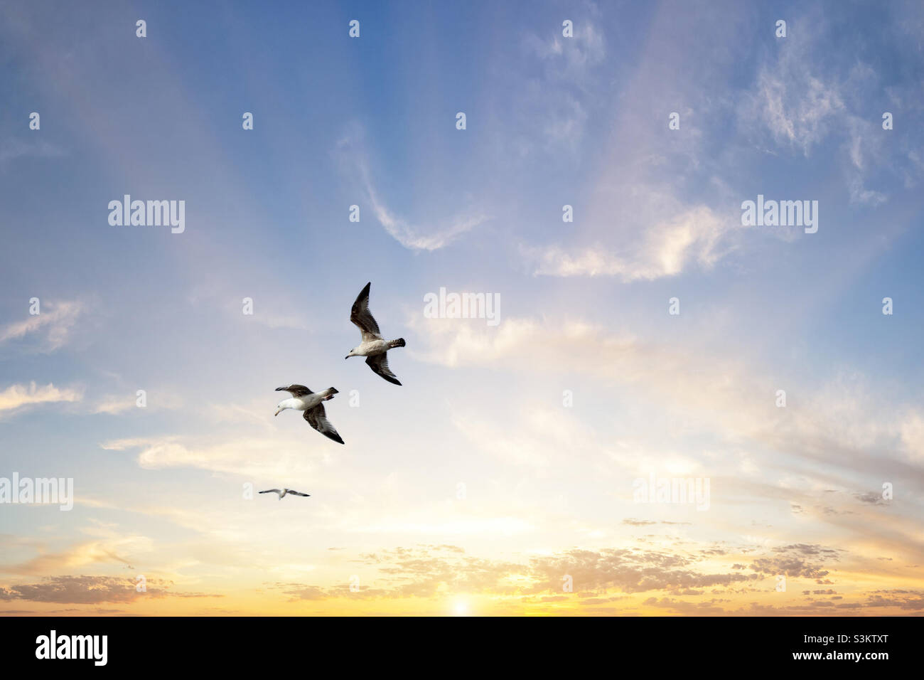 Möwen fliegen am Himmel über Crosby Beach, Liverpool - Smartphone-aufgenommenes Stockfoto