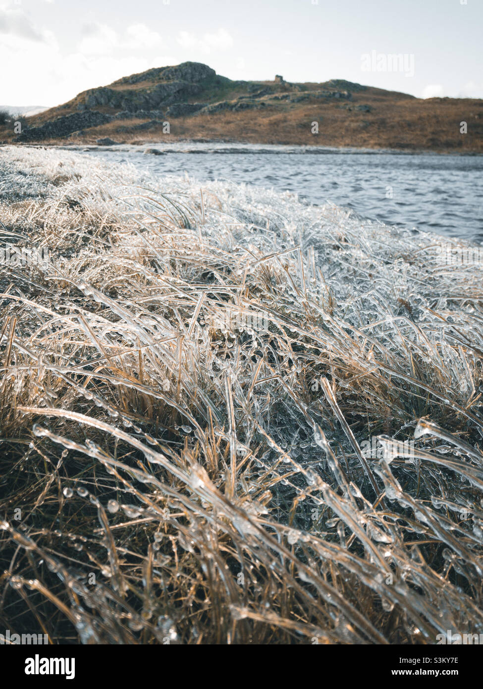 Eis auf Schilf neben Lily Tarn, Loughrigg Fell, Ambleside, Lake District, Großbritannien Stockfoto