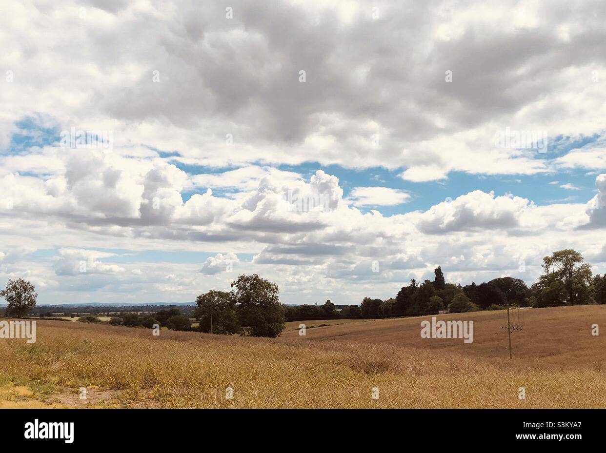 Fields - Kedleston Derby U.K. - Smartphone-aufgenommenes Stockfoto