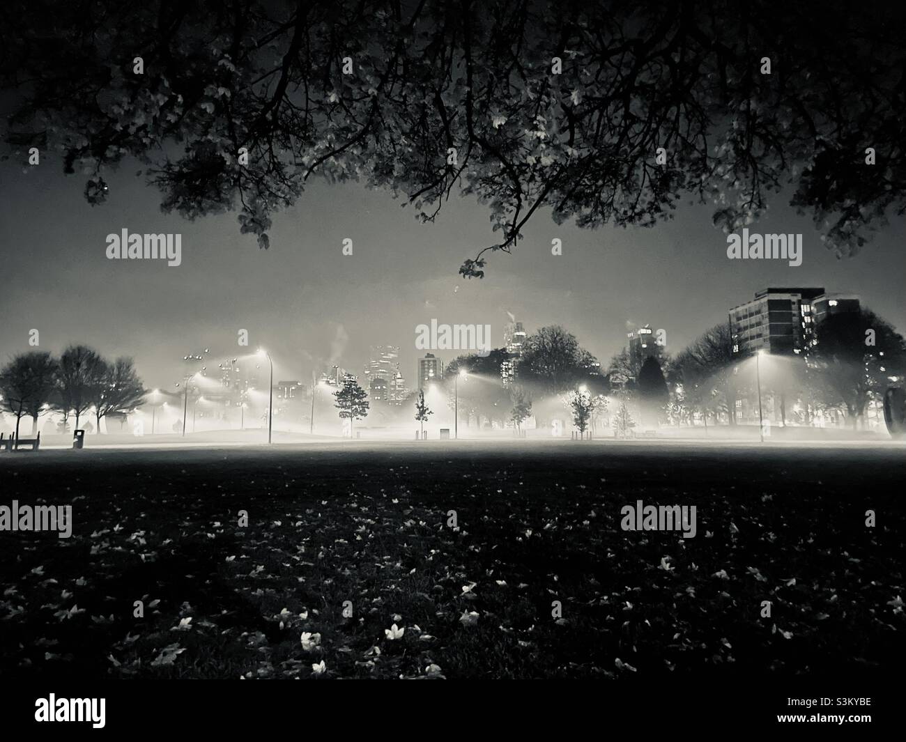 London Park in einer nebligen Nacht in Schwarz-Weiß, Blätter auf dem Boden aussehen beleuchtet und die Lichter leuchten den Nebel auf den Boden Stockfoto