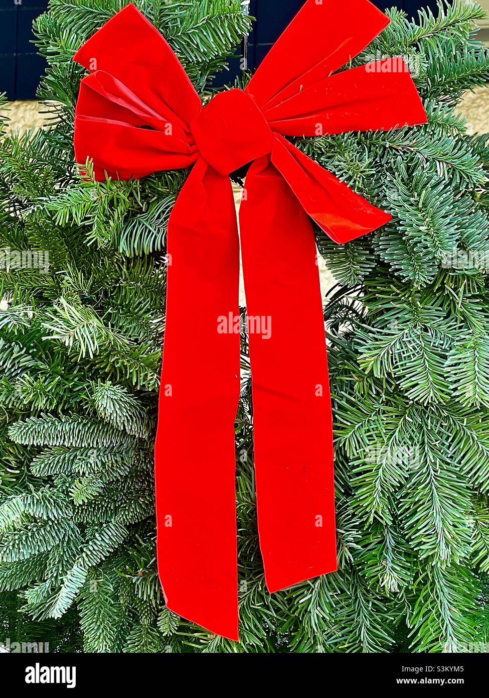 Ein echter Tannenweihnachtskranz, geschmückt mit einer leuchtend roten Schleife, zum Verkauf in einem lokalen Lowe's Heimatzentrum in Utah, USA. Stockfoto