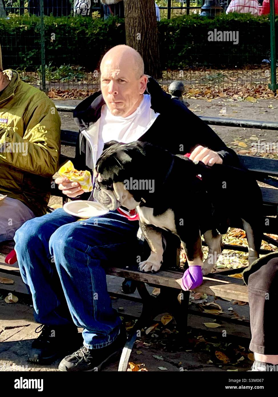 Niedliches Foto eines Hundes, der seinen Besitzer Sandwich riecht Stockfoto