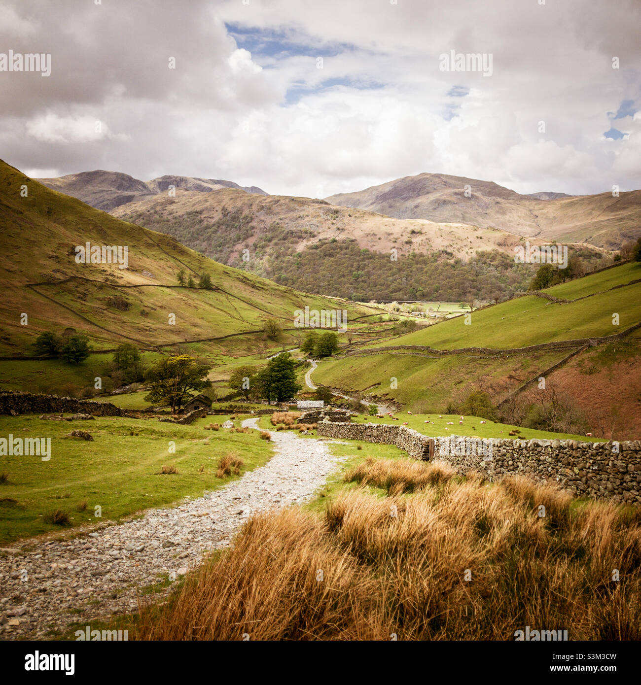 Bridleway hinunter nach Hartsop, St. Sunday Crag im Hintergrund, Lake District, Großbritannien - Smartphone-aufgenommenes Stockfoto