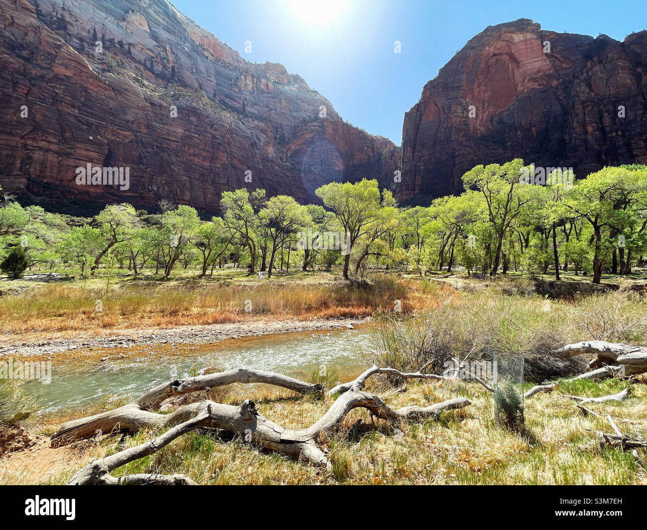 Zion National Park im Frühjahr - Smartphone-aufgenommenes Stockfoto