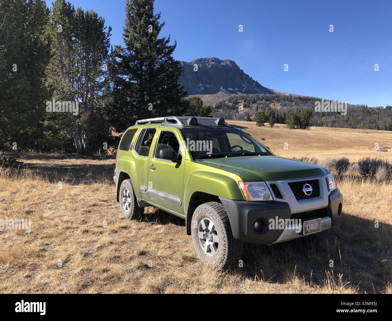 Offroading und Camping in den nördlichen rockies in meiner Xterra Stockfoto